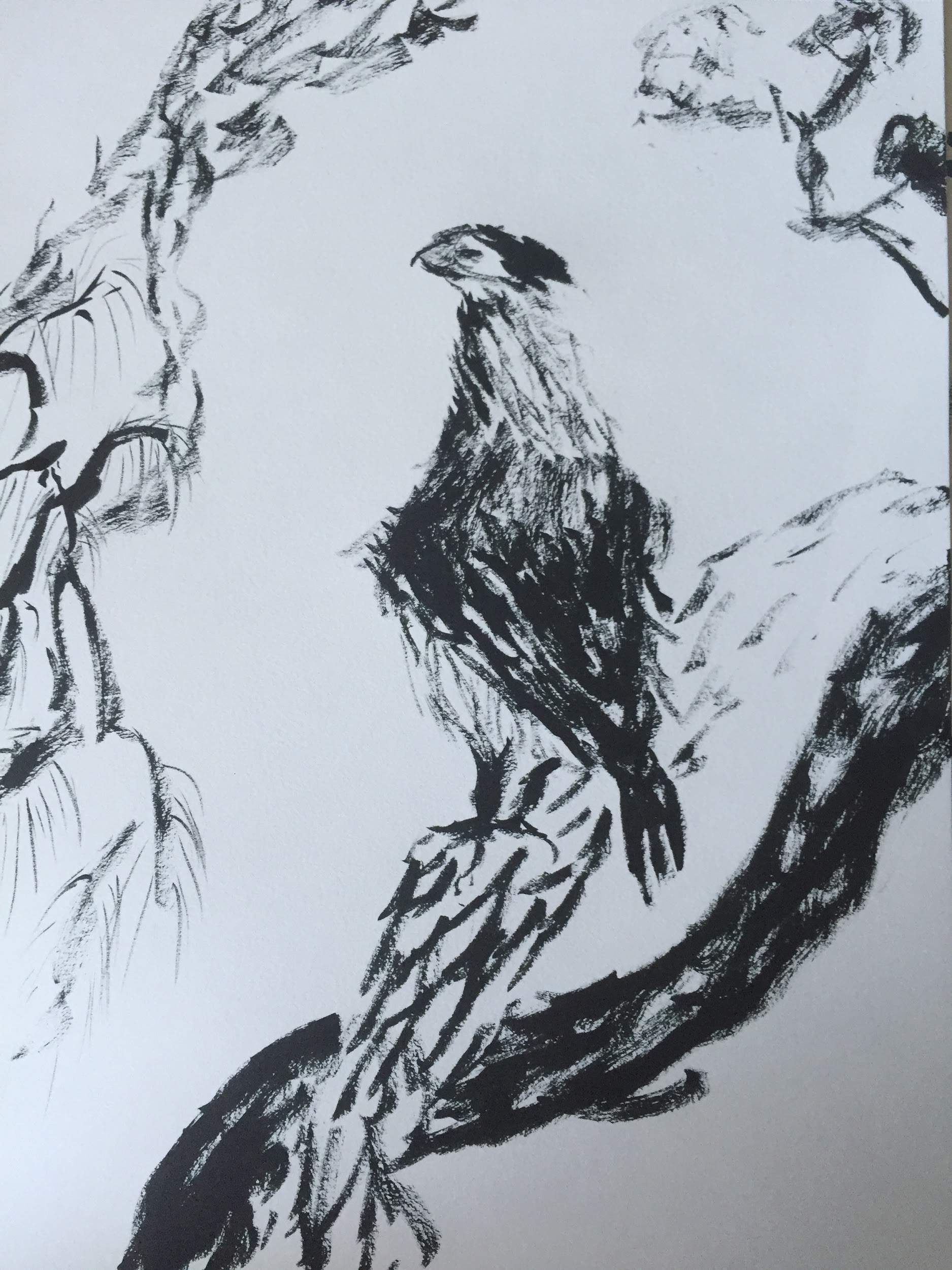 Bird on branch